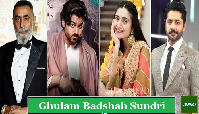 ghulam bashah sundari written update